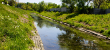 Surface water quality indicators