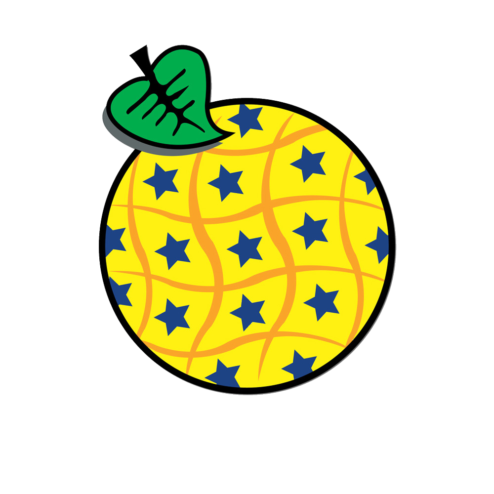 INSPIRE implementation